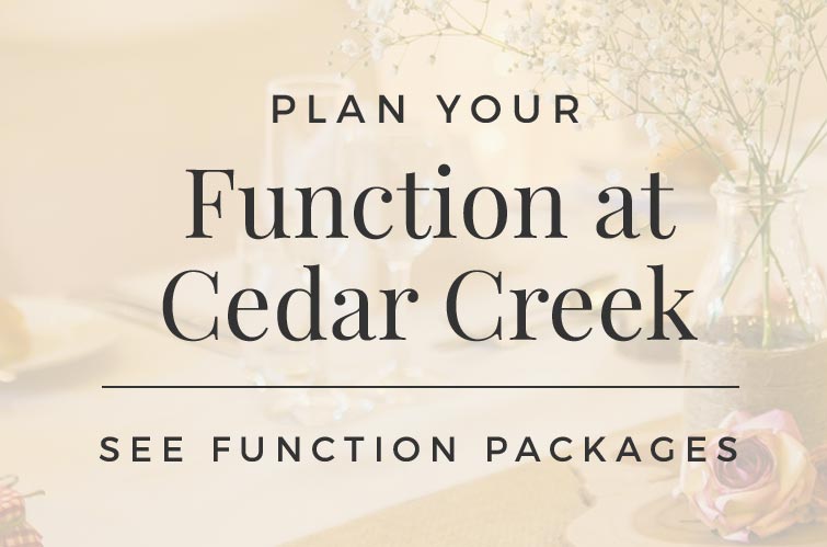 Play our Function at Cedar Creek